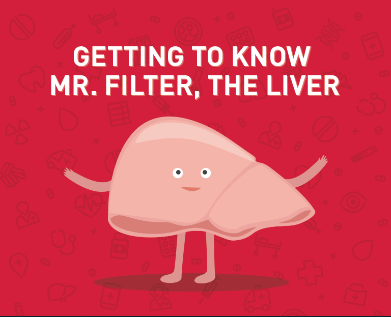 Getting to Know Mr Liver, the Liver