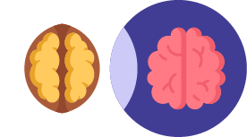 walnuts with brains