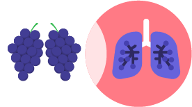 berries lungs