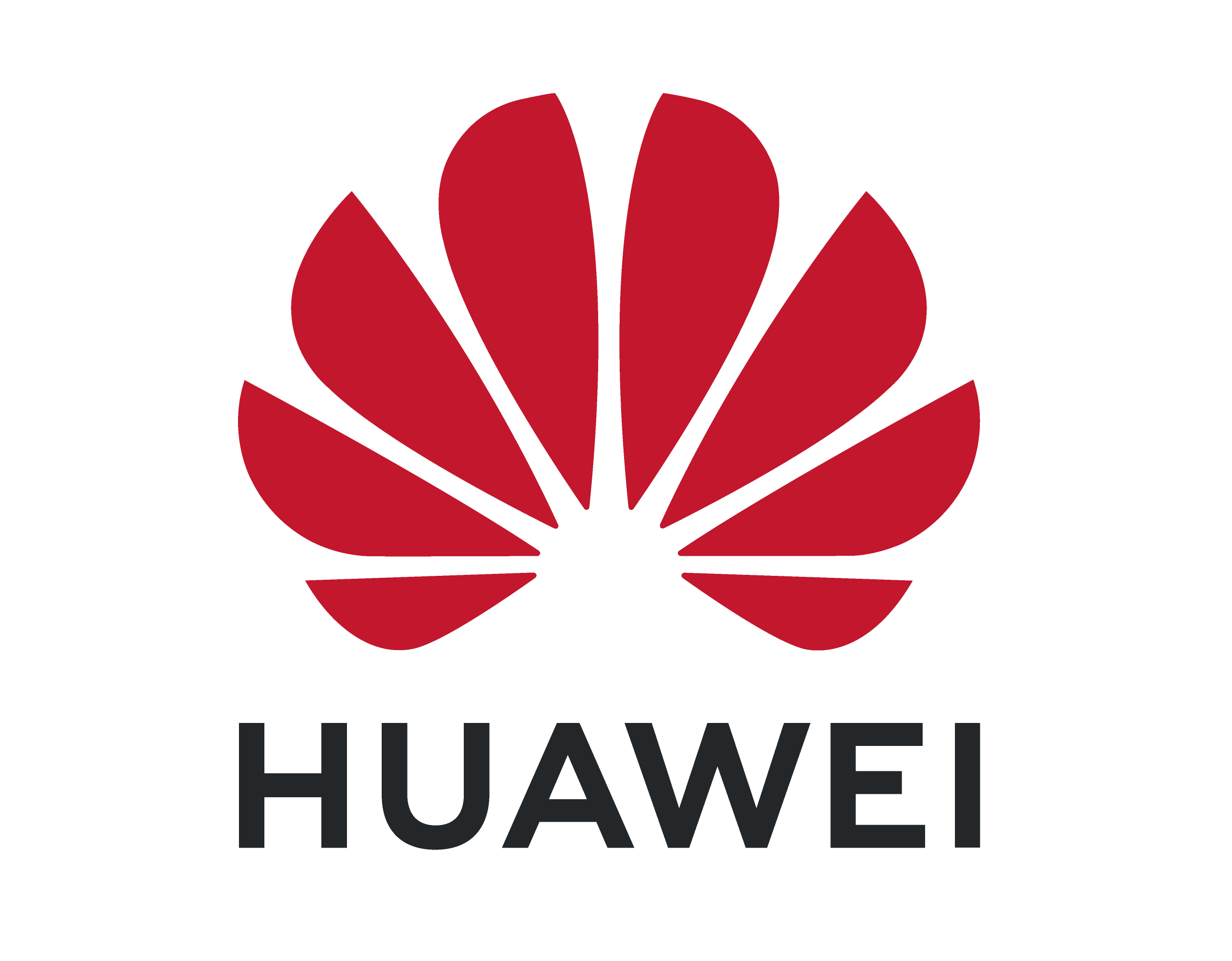 aia partner