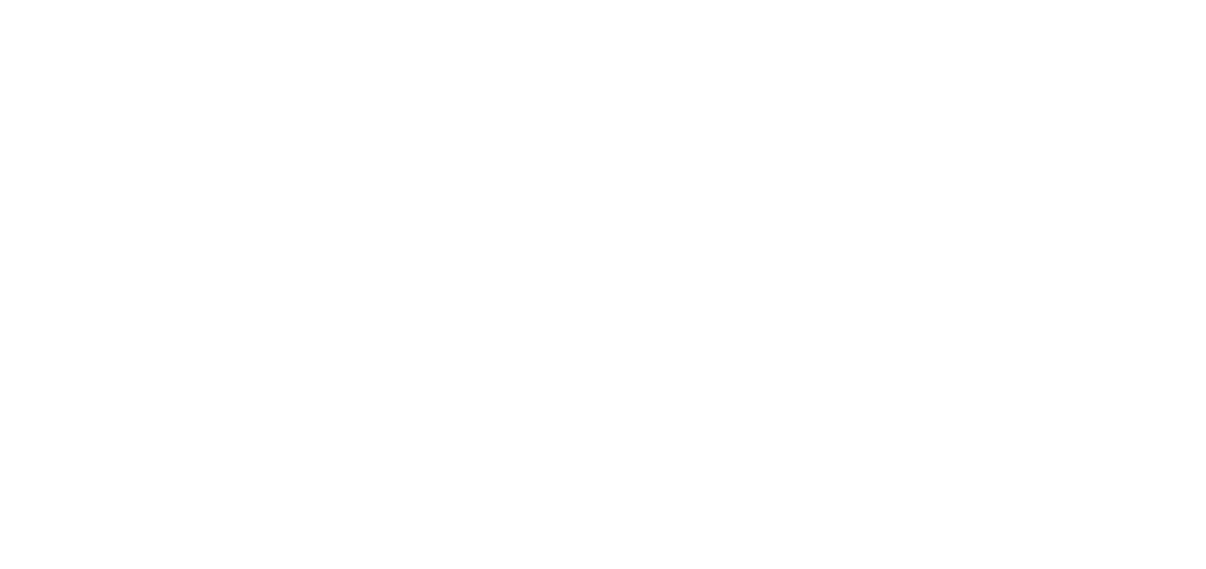 Accident Pro Prime