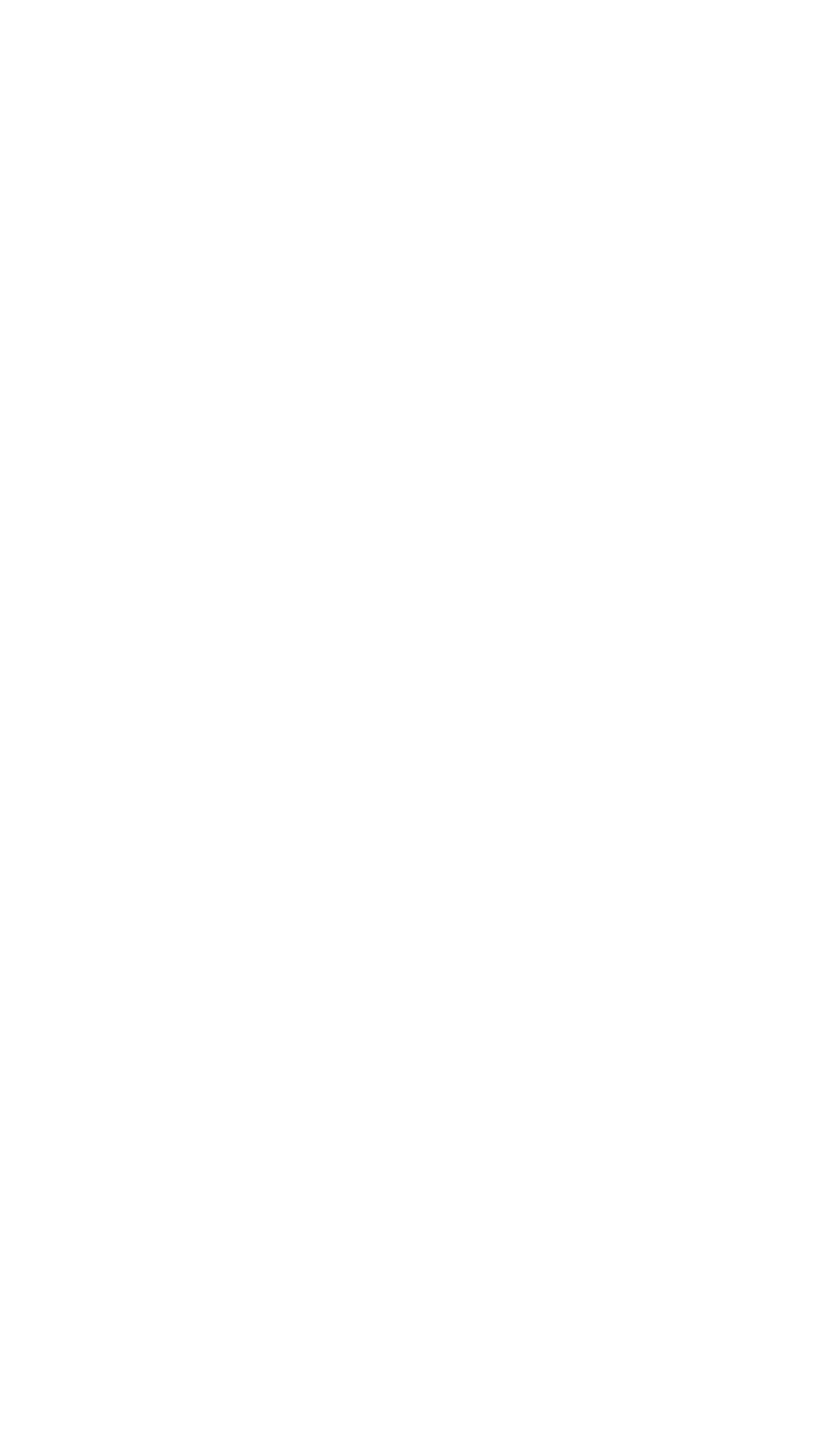 Accident Pro Prime