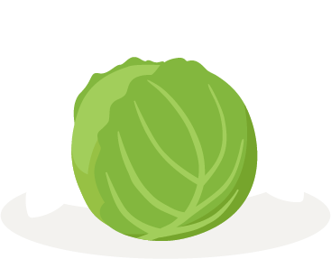 lettuce