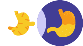 ginger with stomach