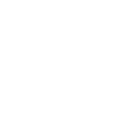 Accident Pro Prime