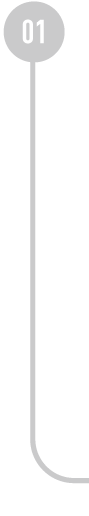 Accident Pro Prime