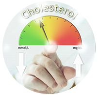 cholesterol