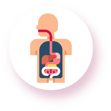 organs