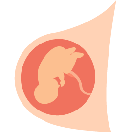 baby in womb