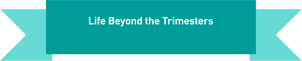 Your Second trimester