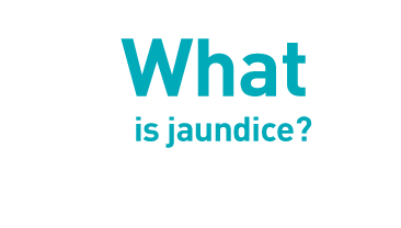 What is jaundice?