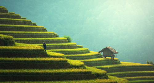 Sapa Vietnam