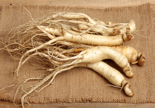 Ginger