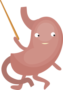 Mr Tummy: the educator