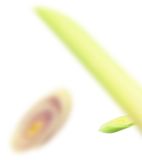 Lemongrass