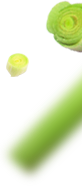 Lemongrass