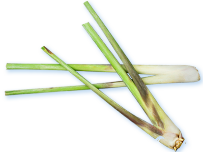 two lemongrasses