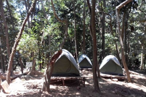 Rainforest Camping Pulau Perhentian