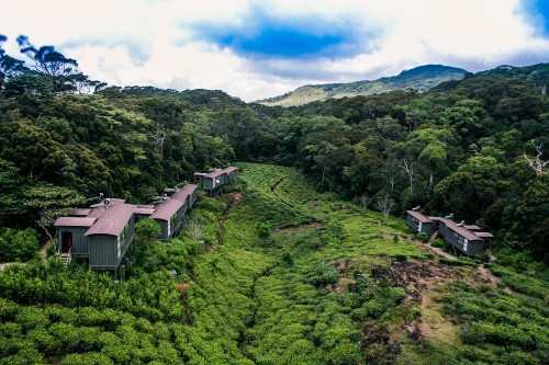 The Rainforest Ecolodge