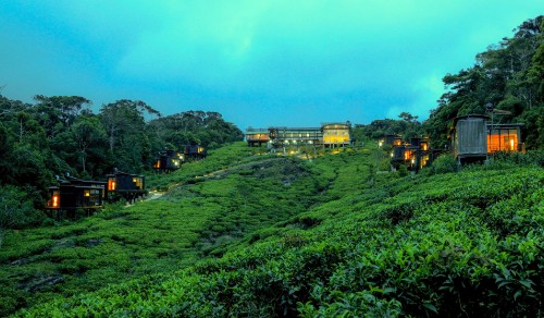 The Rainforest Ecolodge