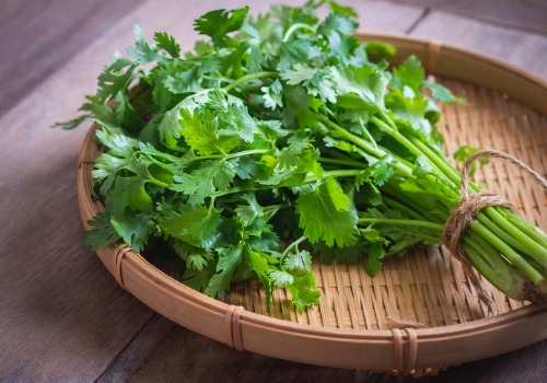 fresh-coriander-cilantro-on-basket-aia-malaysia