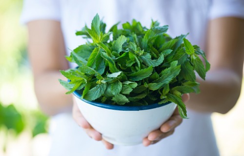 holding-green-fresh-mint-aia-malaysia