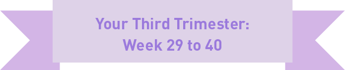 Your third trimester