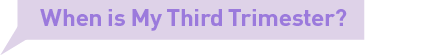 When is My Third Trimester?