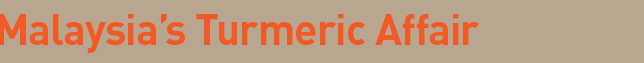 Accident Pro Prime