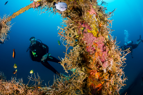 diving wreck