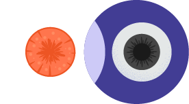 carrot with eyes