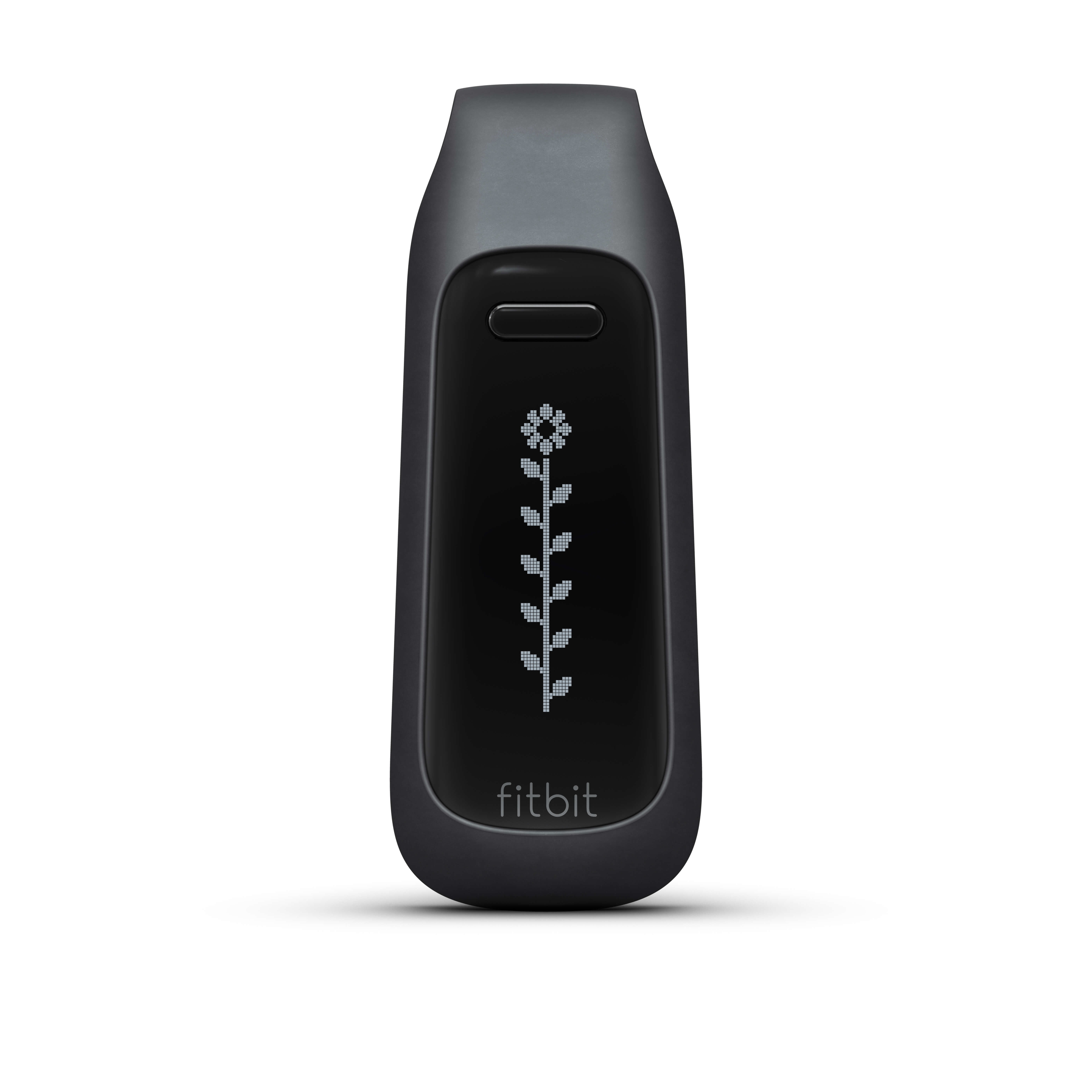 Fitbit One