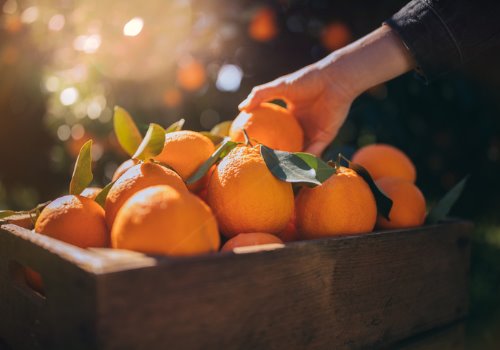 farmer-taking-fresh-orange-box-aia-malaysia