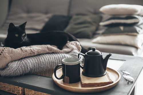 tea pot with cat