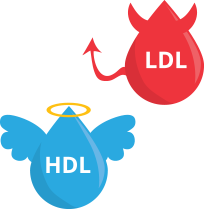HDL LDL